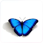 butterfly wallpaper android application logo